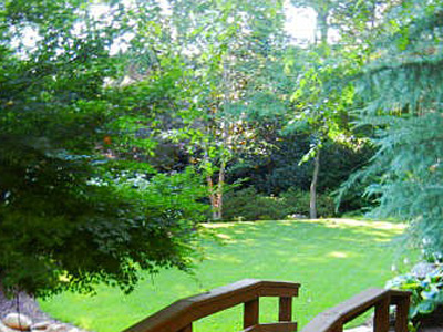 Shrub Insect Disease Programs, Marietta, GA