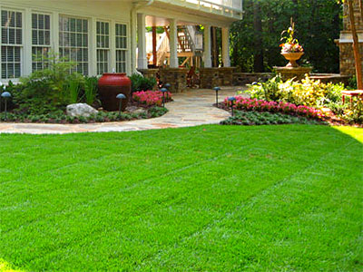 About Green Care Ornamental & Turf About Green Care Ornamental & Turf