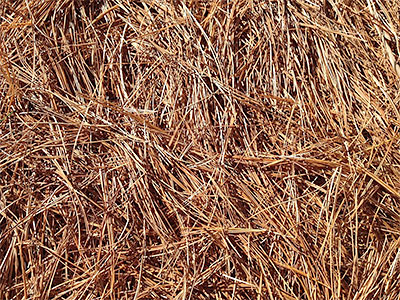 Pine Straw Marietta GA