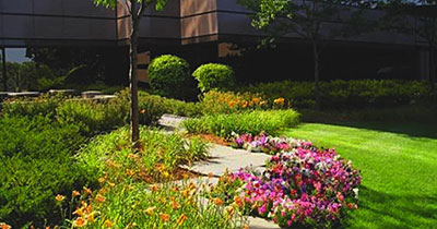 Commercial Landscaping Maintenance Roswell GA