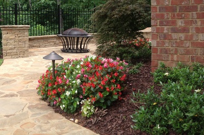 Insect Control, Sandy Springs, GA