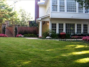 Lawn Fertilization Marietta GA