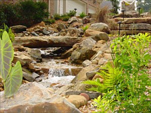 Landscape Stream Roswell GA