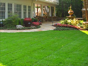 Lawn Maintenance Woodstock GA