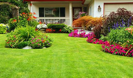 Lawn Care Services